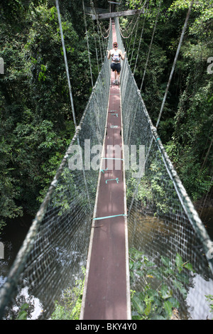 Mulu Canopy Skywalk situé dans le parc national du Gunung Mulu en Malaisie Bornéo. Banque D'Images