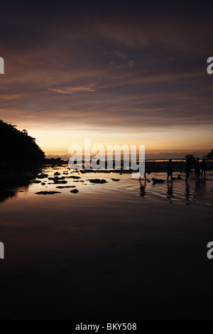 Coucher du soleil à Ko Surin, marine national park, Thaïlande Banque D'Images