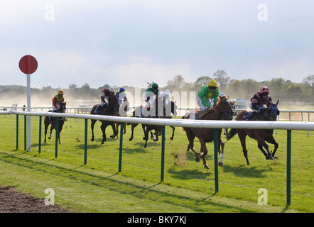 Course de chevaux sur le plat à la Warwick Races, UK Banque D'Images