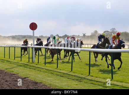 Course de chevaux sur le plat à la Warwick Races, UK Banque D'Images