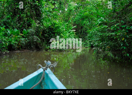 Excursion en kayak dans le Parc National de Tortuguero, Costa Rica, Amérique Centrale Banque D'Images