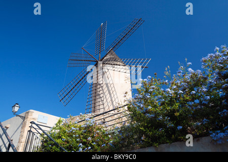 Moulin à vent historique de es Jonquet à la vieille ville de Palma, Majorque, Îles Baléares, Mer Méditerranée, Espagne, Europe Banque D'Images