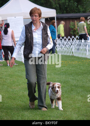 exposition canine Banque D'Images