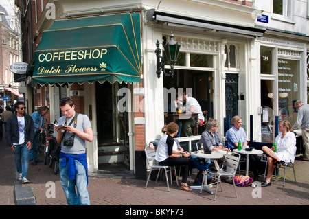 Pays-bas Amsterdam Coffee Shop'Haschisch Marijuana Marihuana Gras Canabis - Graines de cannabis Drogue Dope coffeeshop Banque D'Images