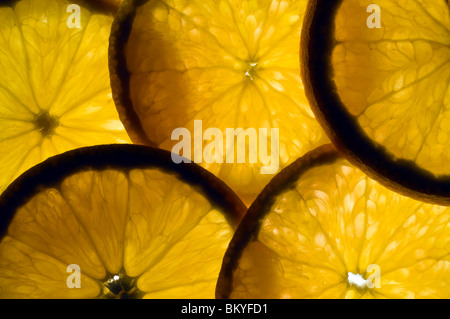 De fines tranches d'orange allumé par l'arrière. Banque D'Images