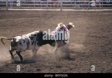 Rodeo clowns distraire un bull à la moyenne les soeurs Rodeo en Sœurs, Oregon Banque D'Images