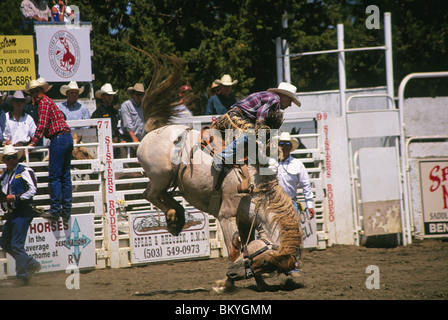 Une selle bronc rider Rodeo Cowboy Rodeo à celui des Sœurs, en Sœurs, Oregon Banque D'Images