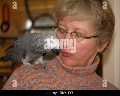 Perroquet gris d'Afrique et d'une femme Banque D'Images