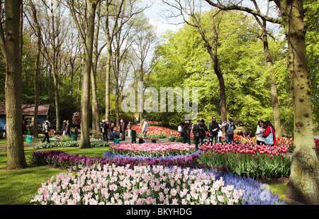 Keukenhof Banque D'Images