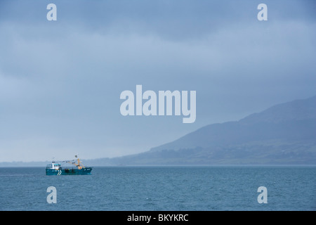 Navire naviguant à travers le brouillard sur le Carlingford Lough près de Rostrevor dans le comté de Down, Irlande du Nord Banque D'Images