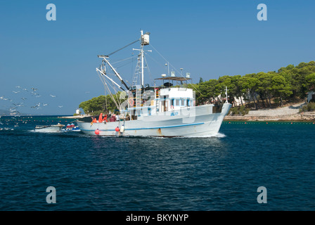 Hrvartska Croatie Kroatien Croatie centrale de l'île de Brač Milna bateau de pêche rentrer au port avec la pleine mer capture les mouettes je Banque D'Images