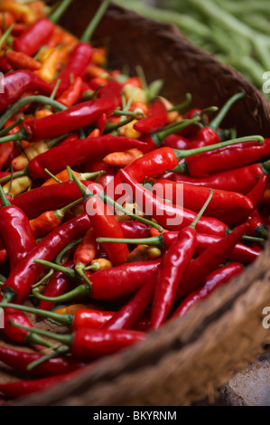 Piments rouges Banque D'Images