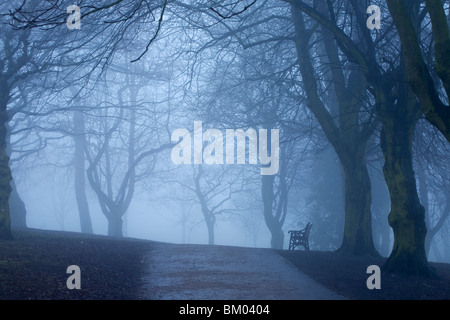 Un banc de parc en un jour brumeux dans le parc Banque D'Images