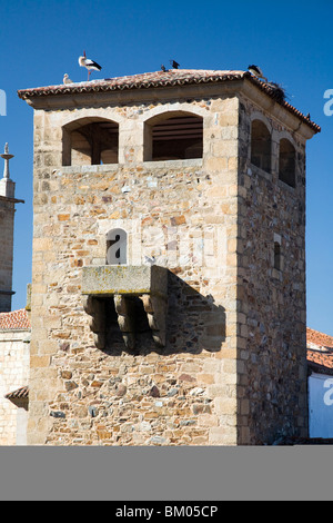 Tour de Golfines de Abajo palace avec des cigognes sur le dessus. Caceres, Espagne Banque D'Images