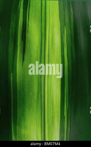 Ces pièces sont tous créés à New York à partir de plantes Hawaïennes. Banque D'Images