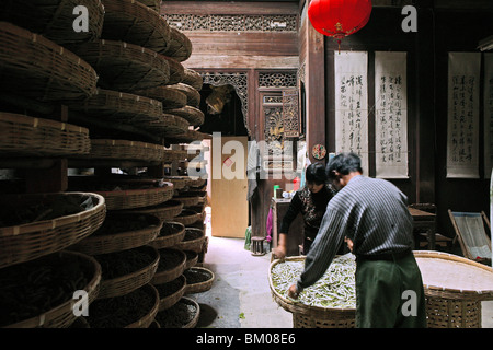 La soie traditionnelle, l'alimentation des vers à soie, cottage crafts, Nanping village, Huangshan, Chine, Asie, Site du patrimoine mondial, UNESCO Banque D'Images