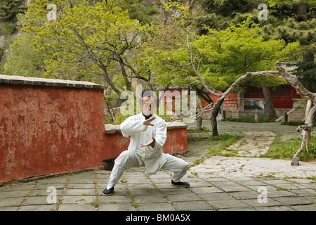 Moine taoïste dans le Tai Chi, Tai Shan, province de Shandong, Taishan, Mont Tai, patrimoine mondial, l'UNESCO, la Chine, l'Asie Banque D'Images