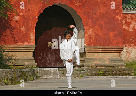 La formation de l'école Wudang Taichi d'arts martiaux, en face de Blue Hall, Zi Xiao Gong, peak 1613 mètres de haut, bâti Wudang Banque D'Images