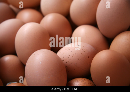 Close up d'oeufs de poule dans un marché à Arequipa, Pérou Banque D'Images