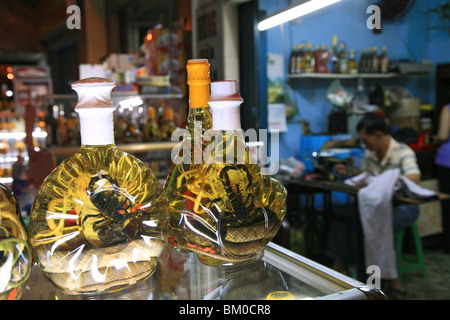 Serpent, Scorpion et serpent dans des bouteilles sur une pharmacie à Saigon, Ho Chi Minh, Saigon, Vietnam, Vietnam, Asie Banque D'Images