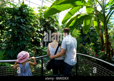 Amozon La France, maison jardin zoologique et botanique Wilhelma, Stuttgart, Bade-Wurtemberg, Allemagne, Europe Banque D'Images