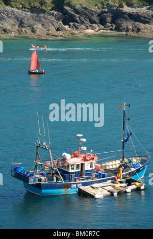 Bateau de pêche et de plaisance, Salcombe, Devon, UK Banque D'Images