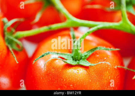 Tomate rouge avec des gouttelettes d'eau macro fond Banque D'Images