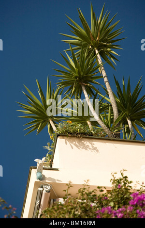 Rapprochement de Borgio Verezzi, Ligury, Italie, Europe Banque D'Images