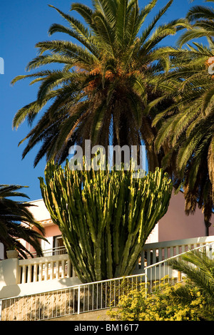 Rapprochement de Borgio Verezzi, Ligury, Italie, Europe Banque D'Images