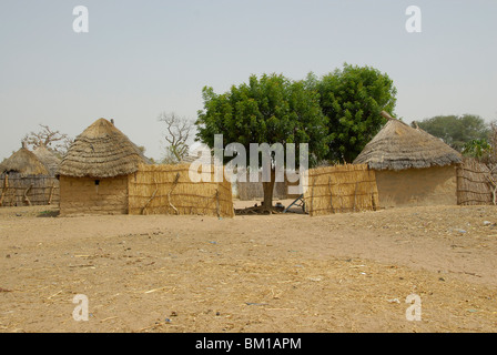 Huttes dans un village Peul, République du Sénégal, l'Afrique Banque D'Images