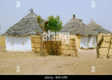 Huttes dans un village Peul, République du Sénégal, l'Afrique Banque D'Images