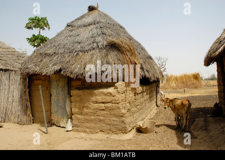 Huttes dans un village Peul, République du Sénégal, l'Afrique Banque D'Images