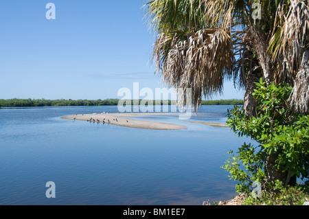 J.N. 'Ding' Darling Wildlife Reserve, Sanibel Island, la Côte du Golfe, Floride, États-Unis d'Amérique, Amérique du Nord Banque D'Images