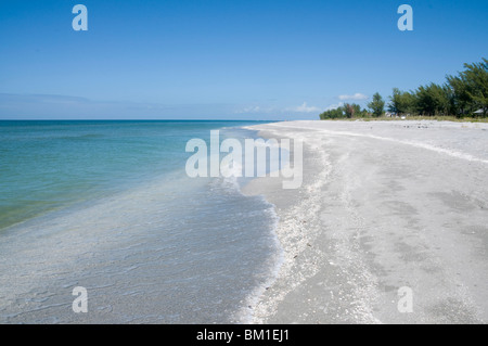 Plage couverte de coquillages, Captiva Island, la Côte du Golfe, Floride, États-Unis d'Amérique, Amérique du Nord Banque D'Images