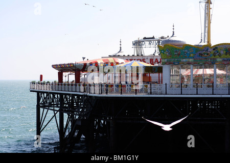 Seagull swooping et deltaplane avec la célèbre jetée de Brighton amusements dans l'arrière-plan. Banque D'Images