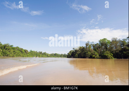 Sungai Kinabatangan River, Sabah, Bornéo, Malaisie, Asie du Sud, Asie Banque D'Images