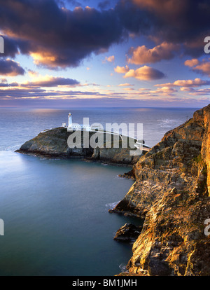 Lumière du soir sur phare de South Stack, Holy Island, Anglesey, au nord du Pays de Galles, Royaume-Uni Banque D'Images