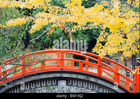 Un pont voûté rouge et jaune des feuilles de gingko, sanctuaire Shimogamo-jinja, Tadasu no Mori, Kyoto, Japon, Asie Banque D'Images