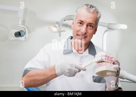 Dentiste à l'aide d'une brosse à dents sur les prothèses dentaires Banque D'Images