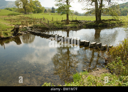 Pierres de gué sur la rivière Brathay Hall Banque D'Images