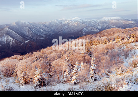 Lever du soleil sur la neige couverts Towada Kamaishi National Park, Iwate Prefecture, Japan, Asia Banque D'Images