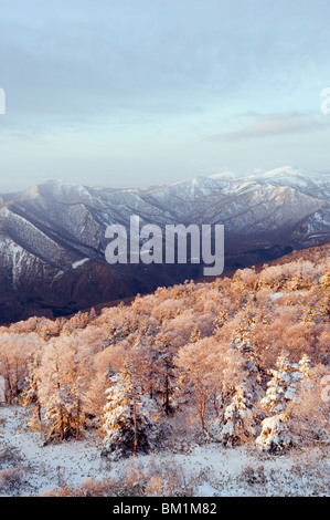 Lever du soleil sur la neige couverts Towada Kamaishi National Park, Iwate Prefecture, Japan, Asia Banque D'Images