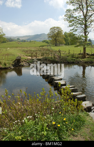 Pierres de gué sur la rivière Brathay Hall Banque D'Images