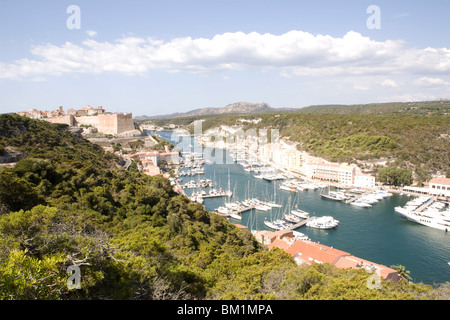 Le port de Bonifacio, Corse, France, Europe, Méditerranée Banque D'Images