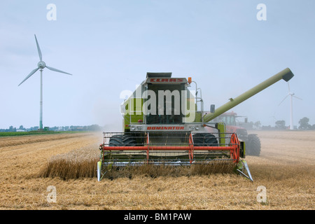 Moissonneuse-batteuse au travail sur un champ, Allemagne Banque D'Images