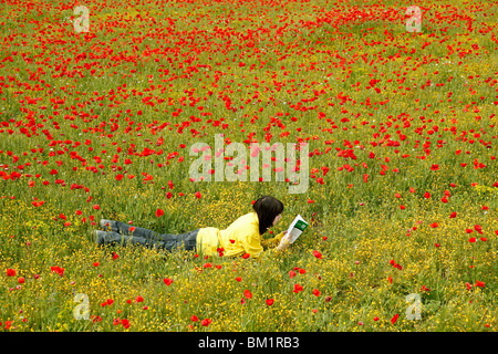 La lecture d'un livre dans un champ de coquelicots. Banque D'Images