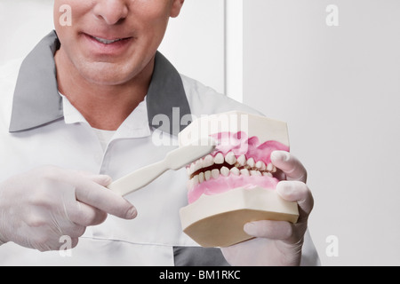 Dentiste à l'aide d'une brosse à dents sur les prothèses dentaires Banque D'Images