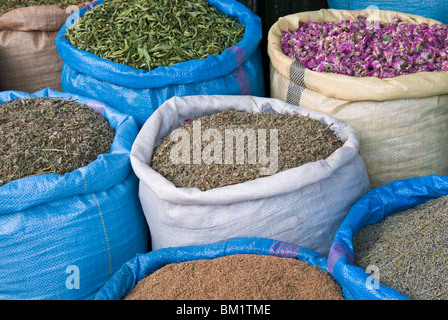 Fleurs séchées et d'herbes en vente au souk, Medina, Marrakech (Marrakech), Maroc, Afrique du Nord, Afrique Banque D'Images