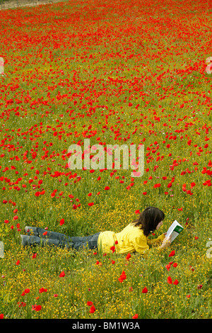 La lecture d'un livre dans un champ de coquelicots. Banque D'Images