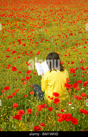 La lecture d'un livre dans un champ de coquelicots. Banque D'Images